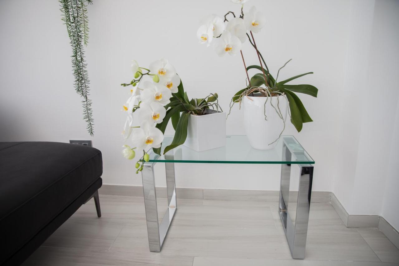 Spacious 200 Sq.M. Penthouse With Sea View Terraces 托雷莫利诺斯 外观 照片