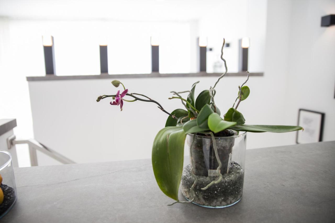 Spacious 200 Sq.M. Penthouse With Sea View Terraces 托雷莫利诺斯 外观 照片